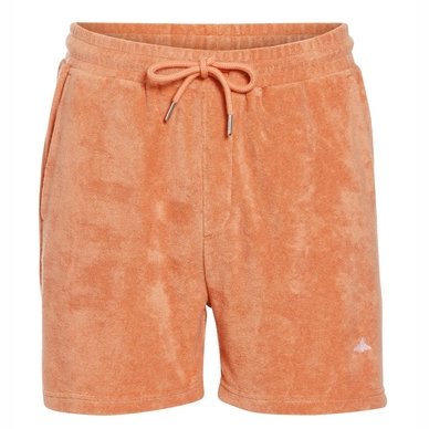 Essenza Xavier Uni Shorts Heren Dry Terra