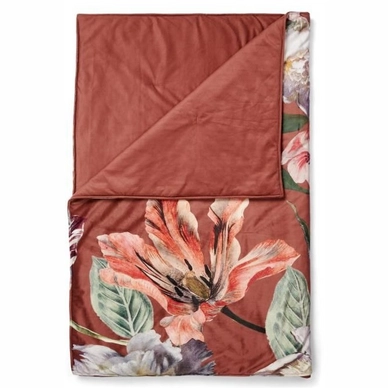 Essenza Filou Plaid Shell Brown